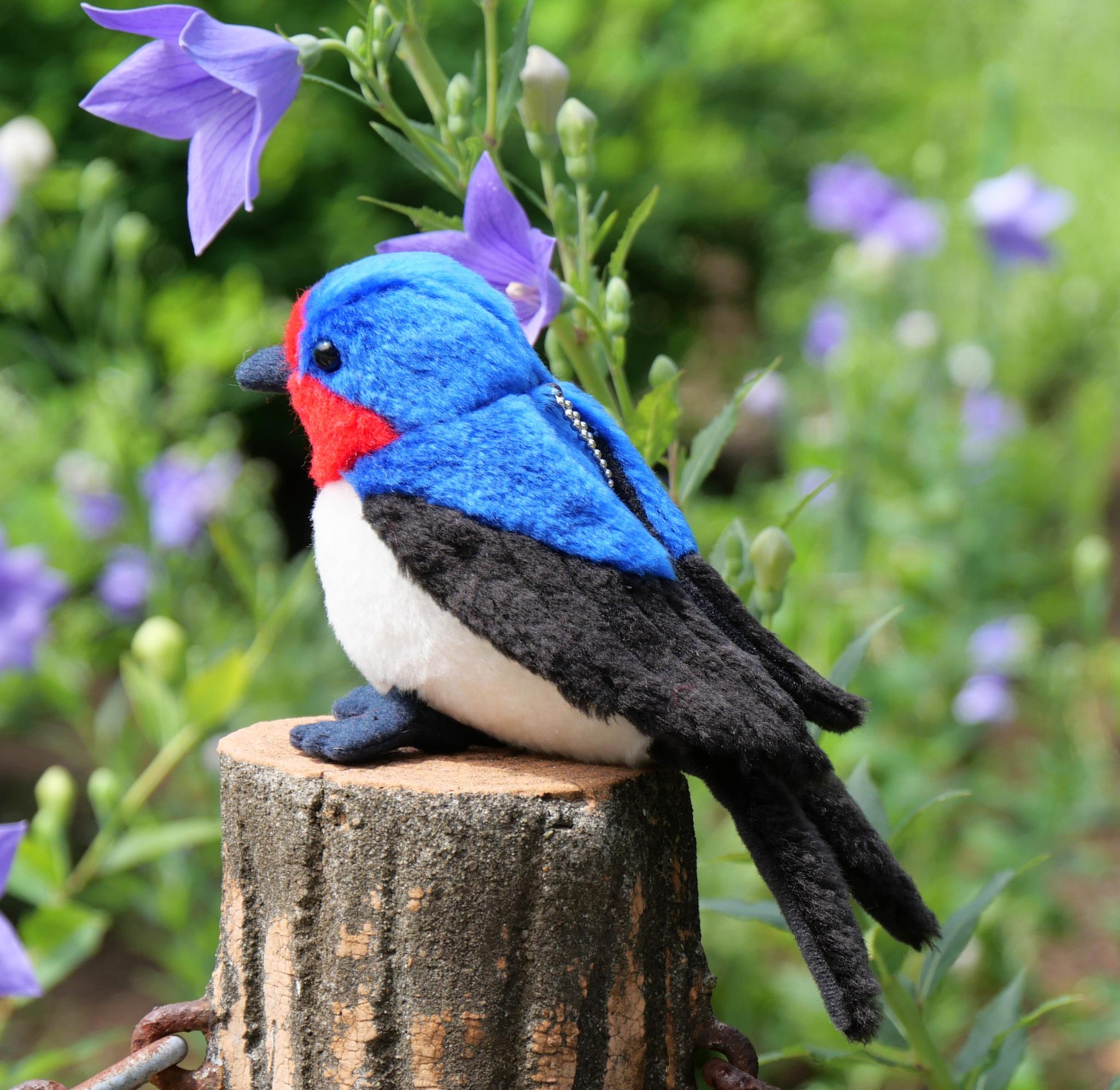 シュッと長いツバメ(1.5ヶ月以内で発送)1枚目の画像