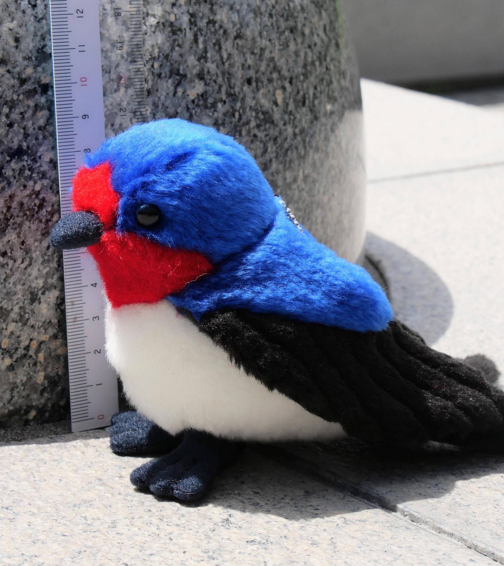 シュッと長いツバメ(1.5ヶ月以内で発送) | 13枚目