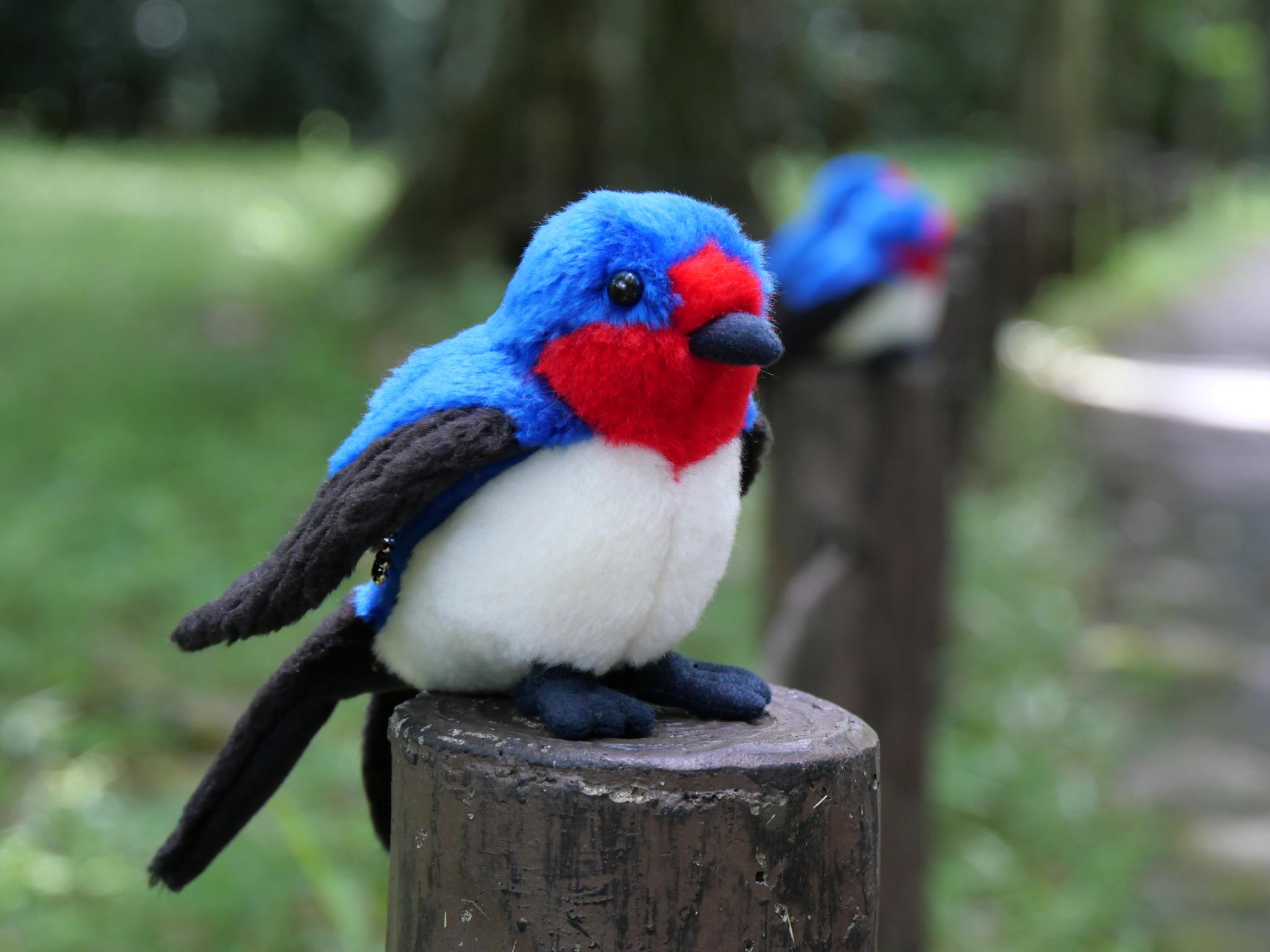 シュッと長いツバメ(1.5ヶ月以内で発送) | 2枚目