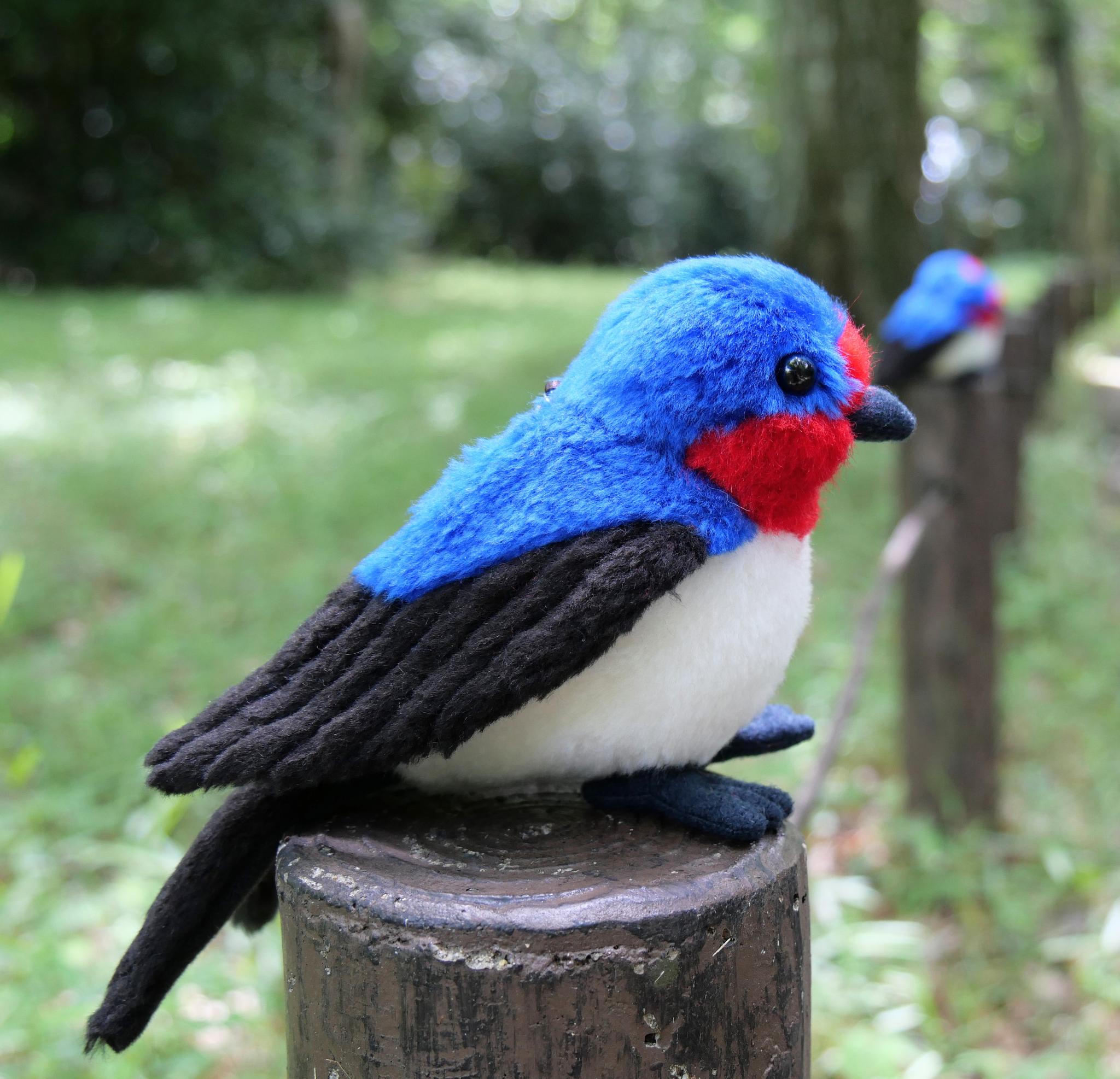 シュッと長いツバメ(1.5ヶ月以内で発送) | 3枚目