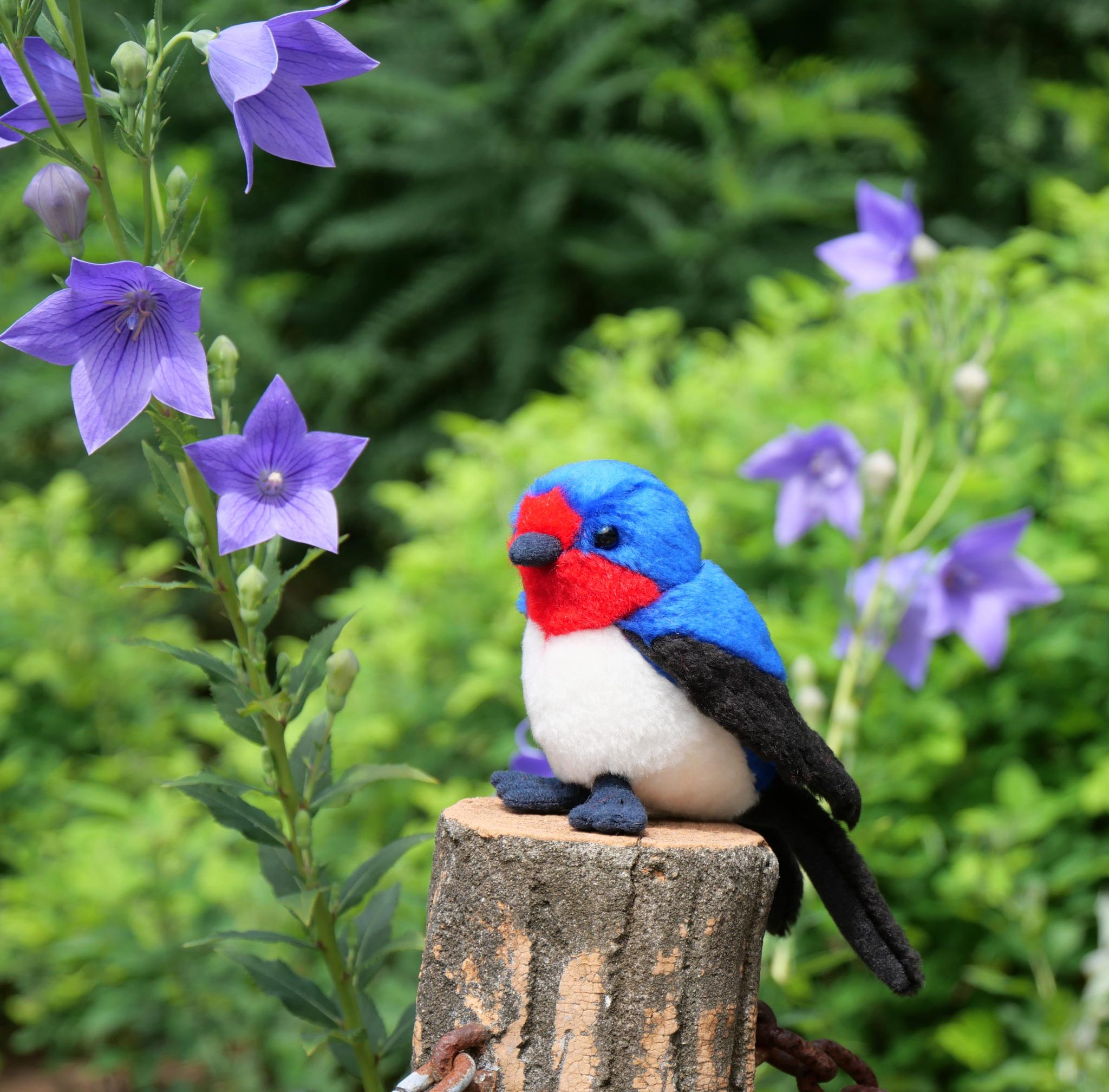 シュッと長いツバメ(1.5ヶ月以内で発送) | 4枚目