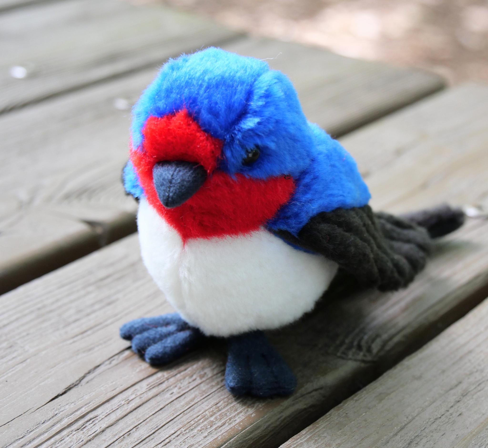 シュッと長いツバメ(1.5ヶ月以内で発送) | 5枚目