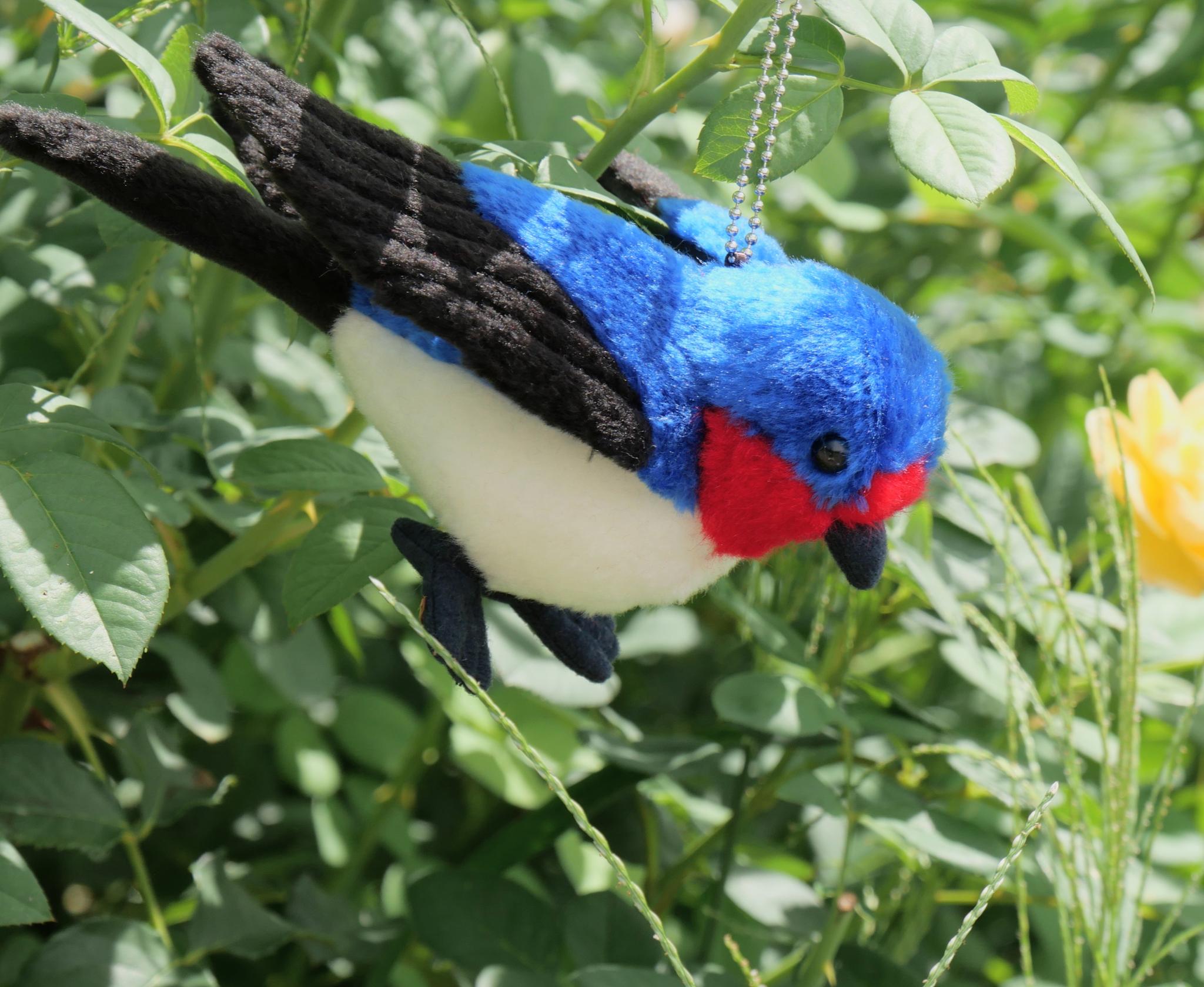 シュッと長いツバメ(1.5ヶ月以内で発送) | 7枚目